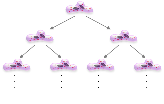 がん細胞の増殖