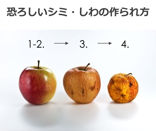 恐ろしいシミ・しわの作られ方