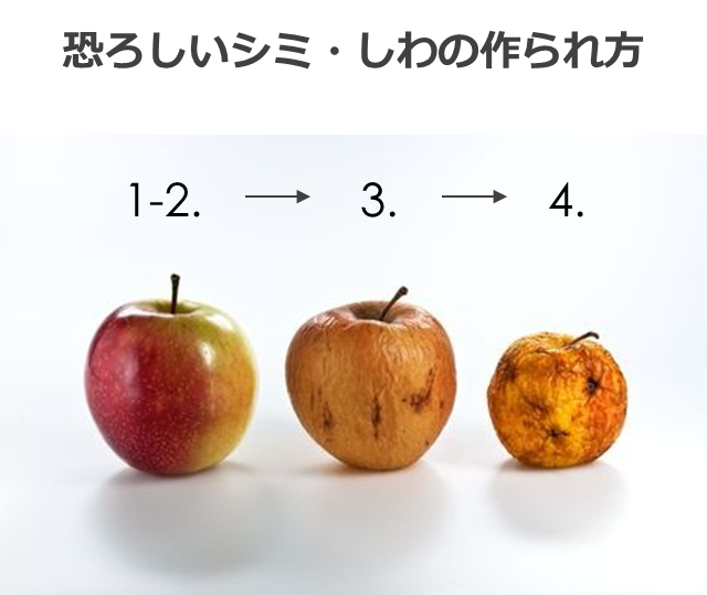 恐ろしいシミ・しわの作られ方