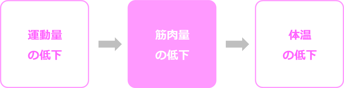 運動量の低下→筋肉量の低下→体温の低下