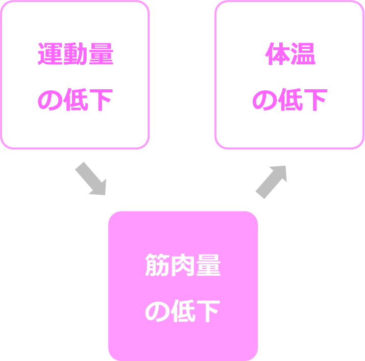 運動量の低下→筋肉量の低下→体温の低下
