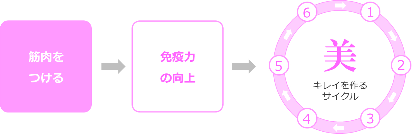 筋肉をつける→免疫力が上がる→キレイサイクルが回る