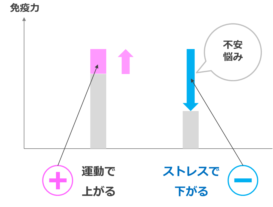 ストレスで低下する免疫力