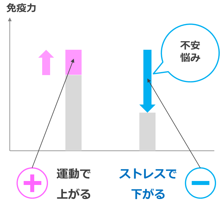 ストレスで低下する免疫力