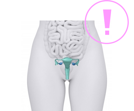 女性の子宮