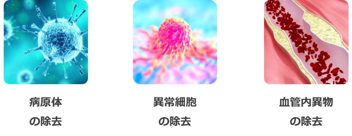 免疫の働き