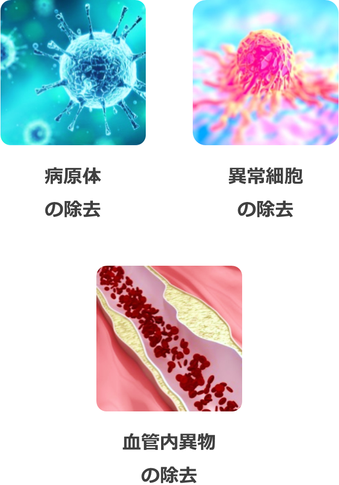 免疫の働き