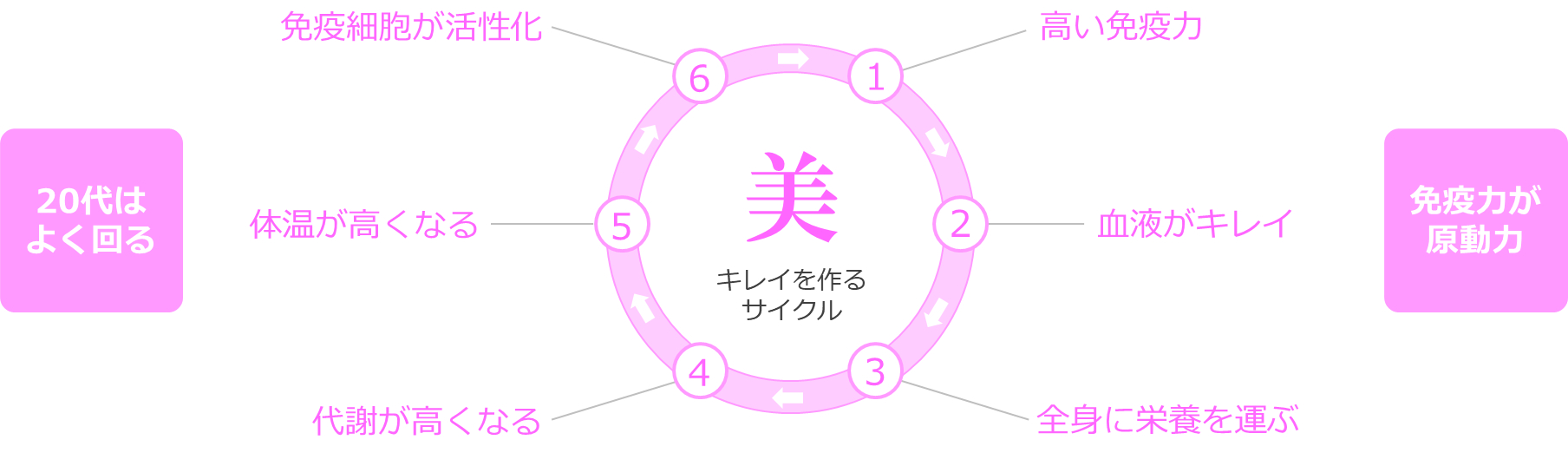 キレイサイクル