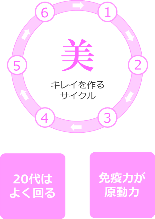 キレイサイクル