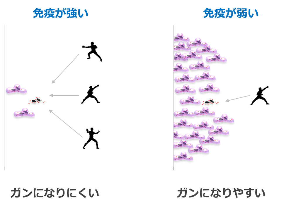 免疫力とガン抑制