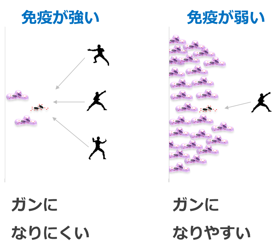 免疫力とガン抑制