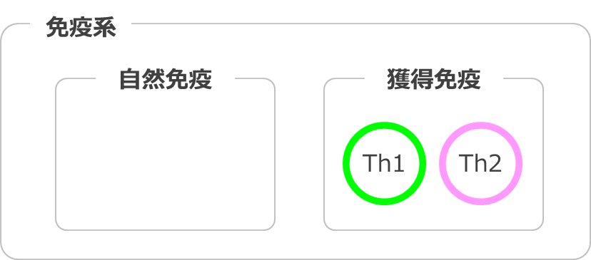 免疫系（自然免疫と獲得免疫）