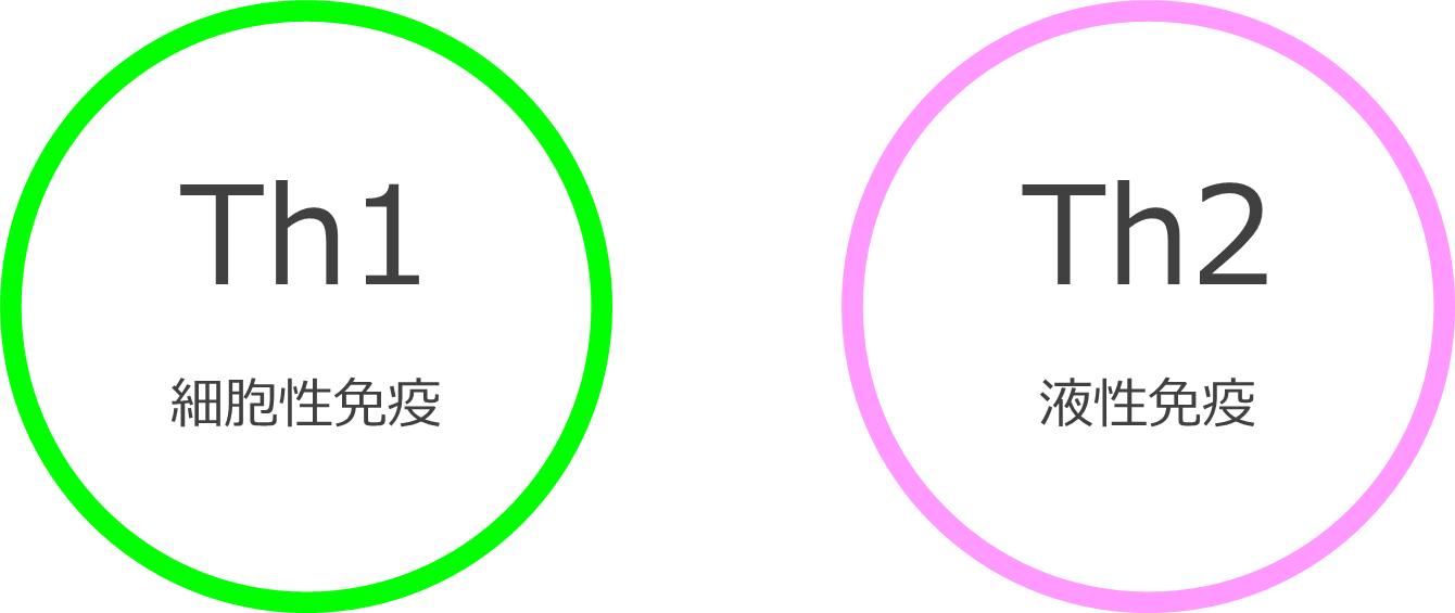 細胞性免疫（Th1）と液性免疫（Th2）