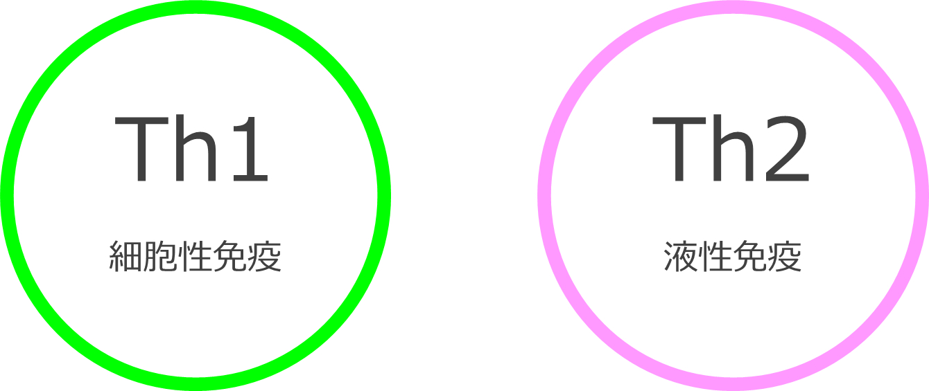 細胞性免疫（Th1）と液性免疫（Th2）