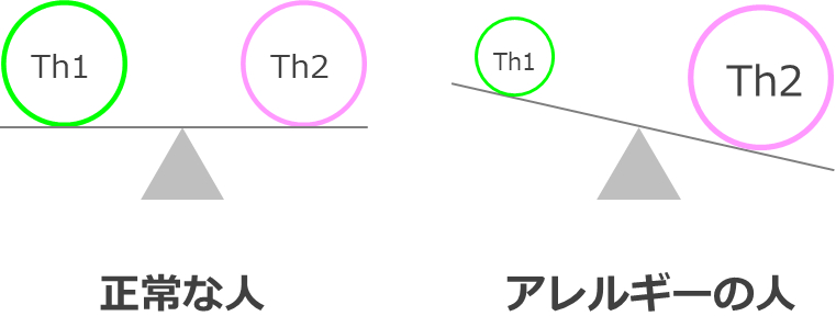 アレルギーと正常な人のTh1/Th2バランス