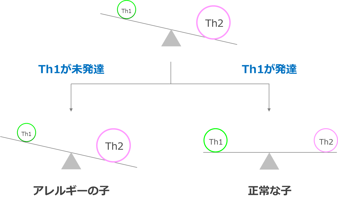 アレルギーになる子とならない子のTh1/Th2バランス