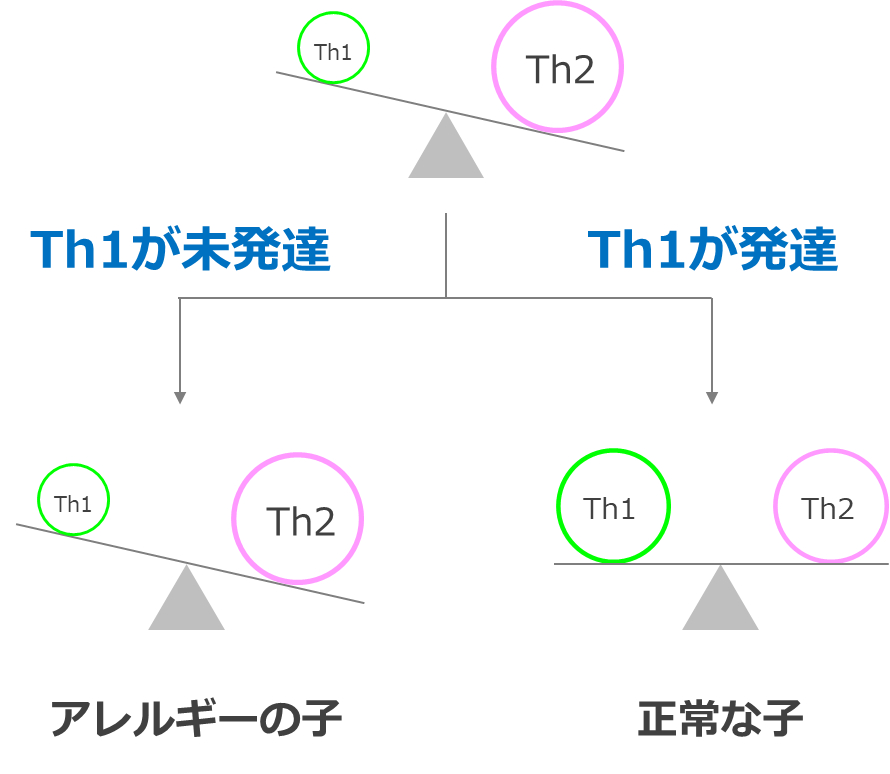 アレルギーになる子とならない子のTh1/Th2バランス