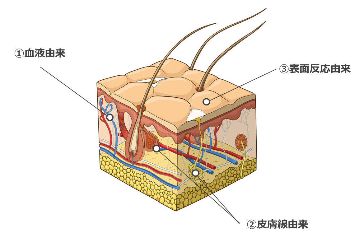 自然免疫と獲得免疫（Th1/Th2）
