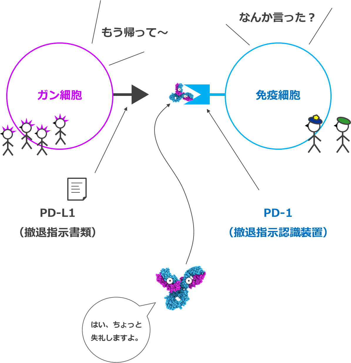オプジーボ（チェックポイント阻害剤）の仕組み（メカニズム）