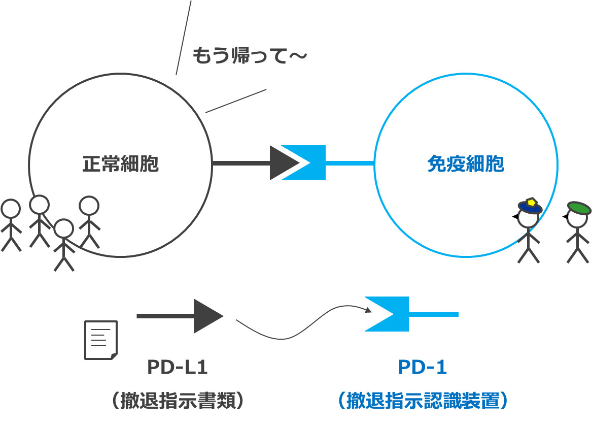 組織の細胞（市民）と免疫細胞（警察と軍隊）とPD-L1