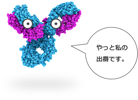 オプジーボ（チェックポイント阻害剤）