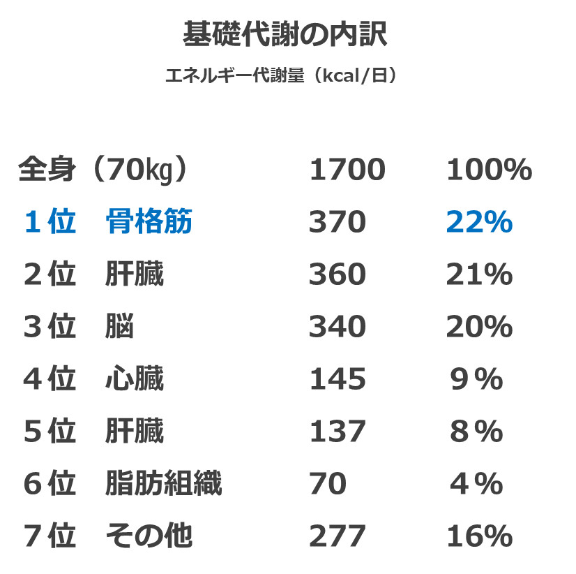基礎代謝の内訳