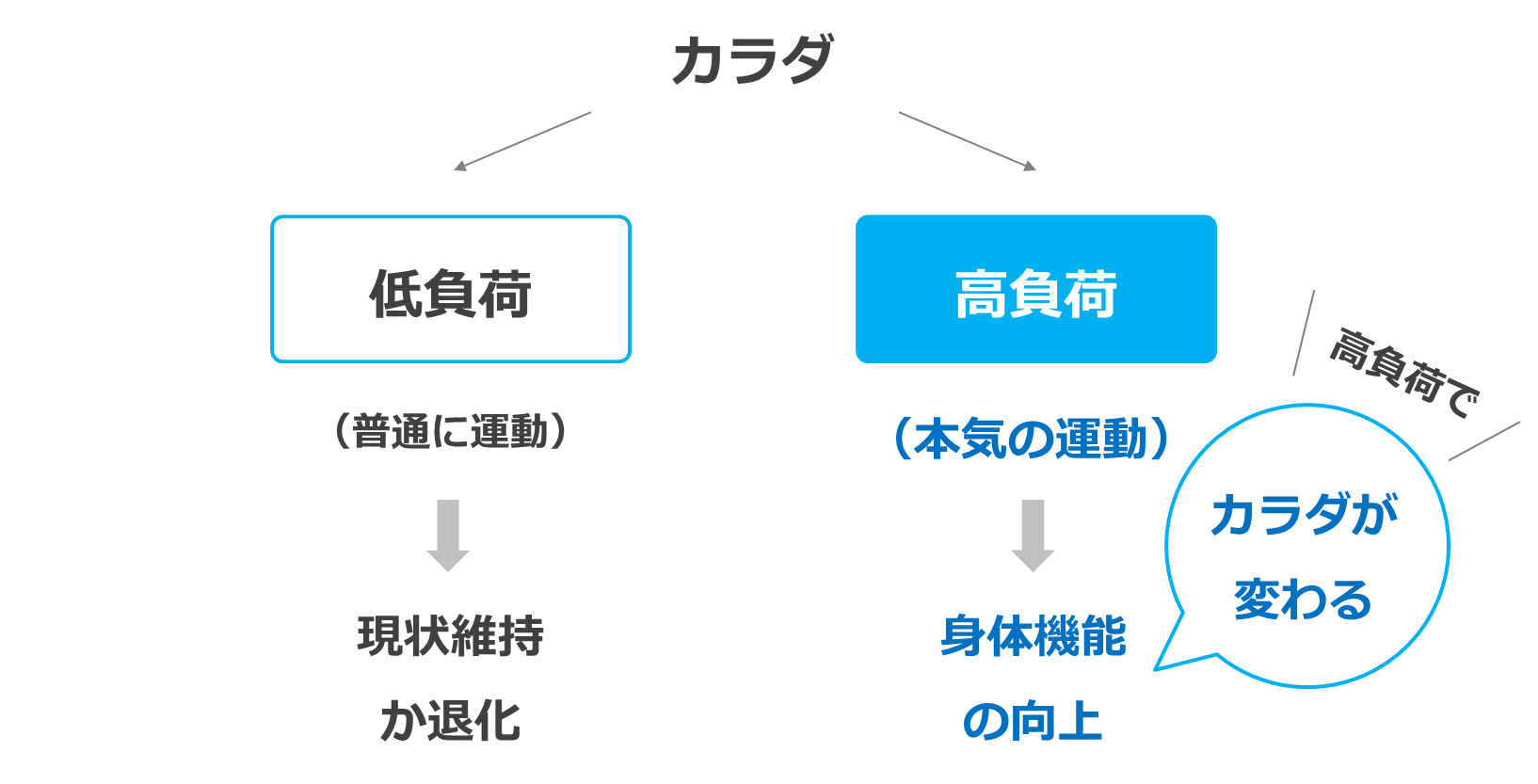 カラダが変わる運動