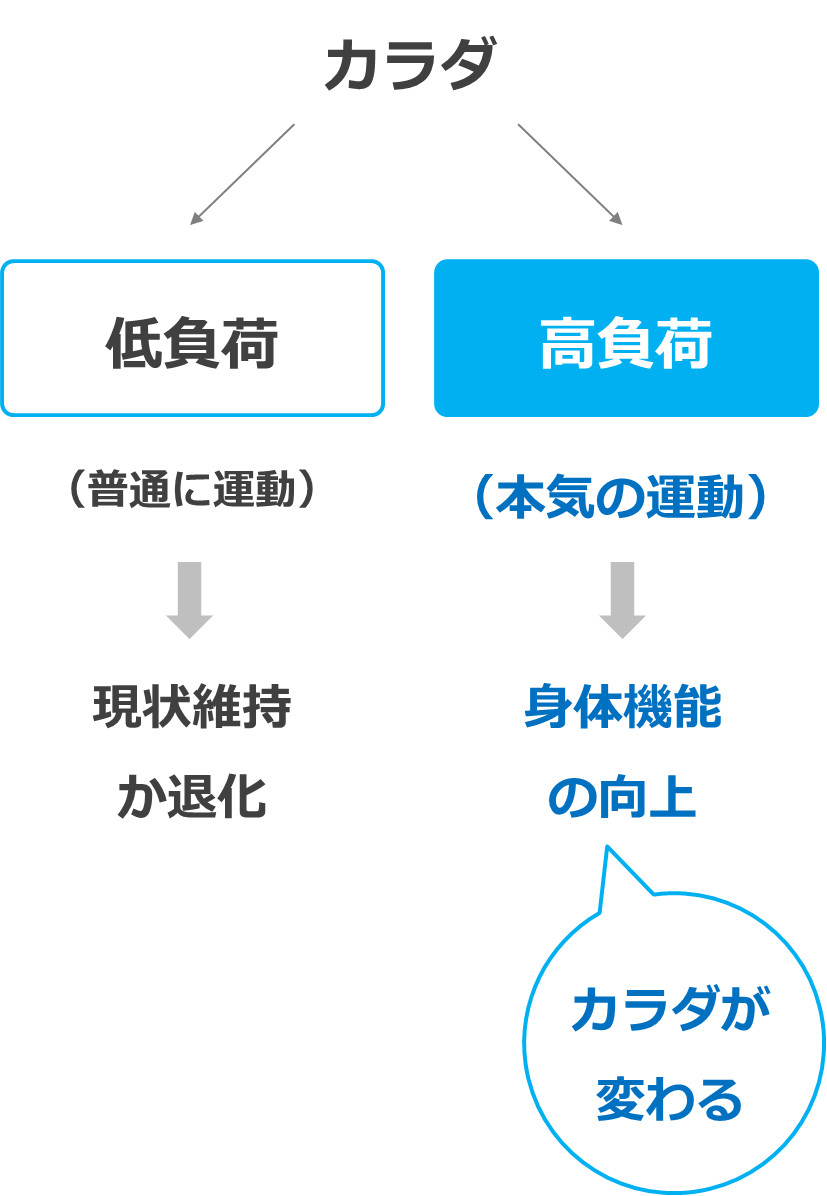 カラダが変わる運動