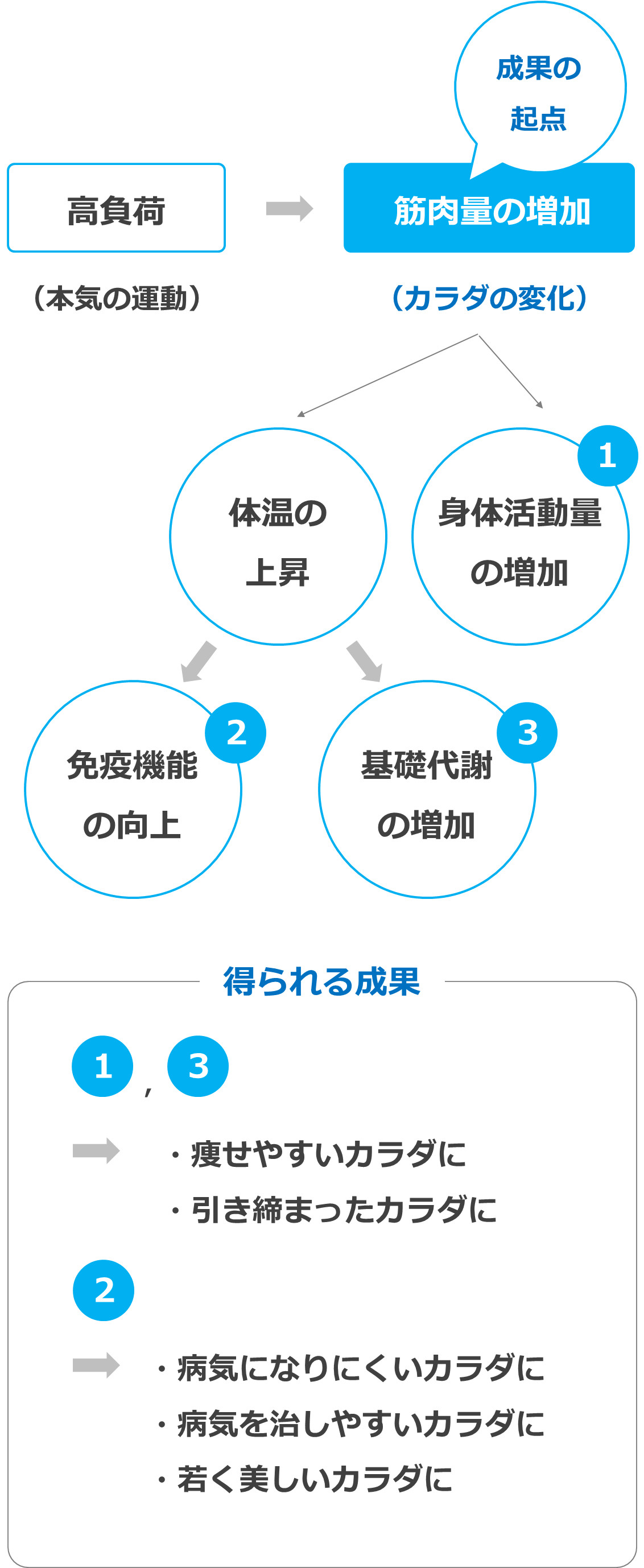運動により起こる変化