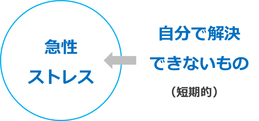 慢性ストレス（自分で解決できないもの）