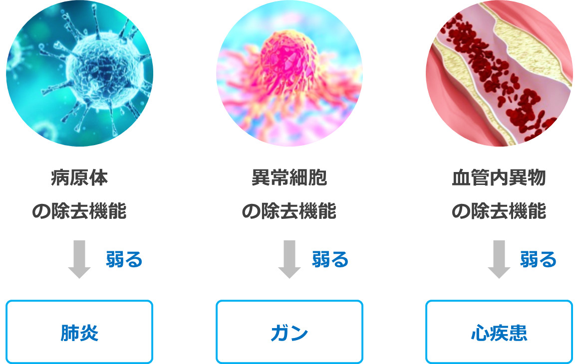 慢性ストレスにより生じる将来の病気リスク