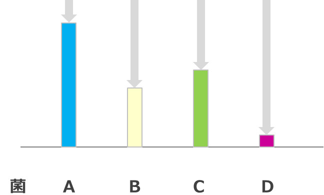 腸内細菌の免疫抑制