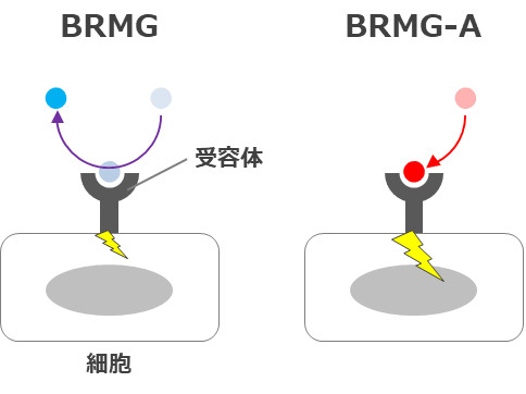 BRMGとBRMG-A