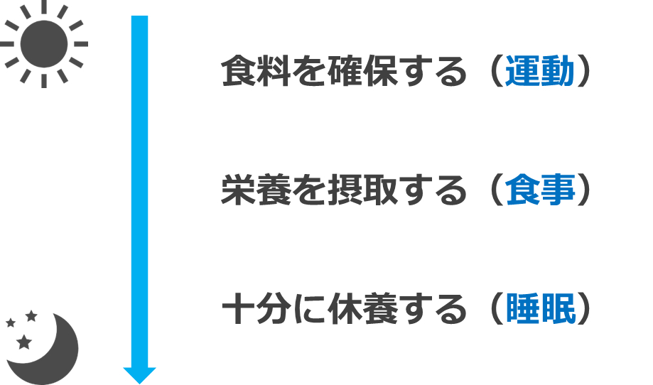運動・食事・睡眠＋ストレスの発散