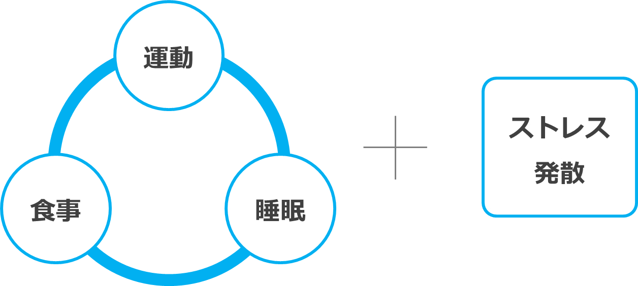 運動・食事・睡眠＋ストレスの発散