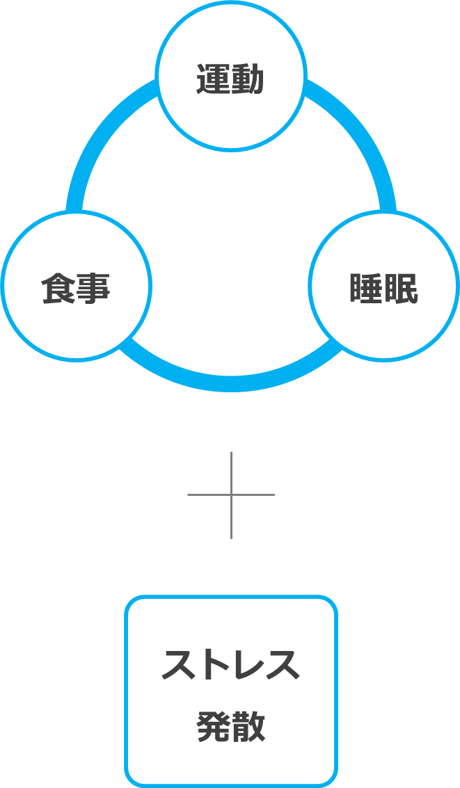 運動・食事・睡眠＋ストレスの発散
